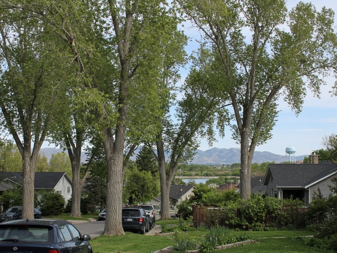 Cottonwood neighborhood in Weber County